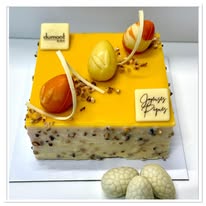 Entremets fruit de la passion